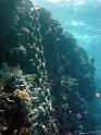 030508_Abu Kefan - Chaines - Dsc02288~